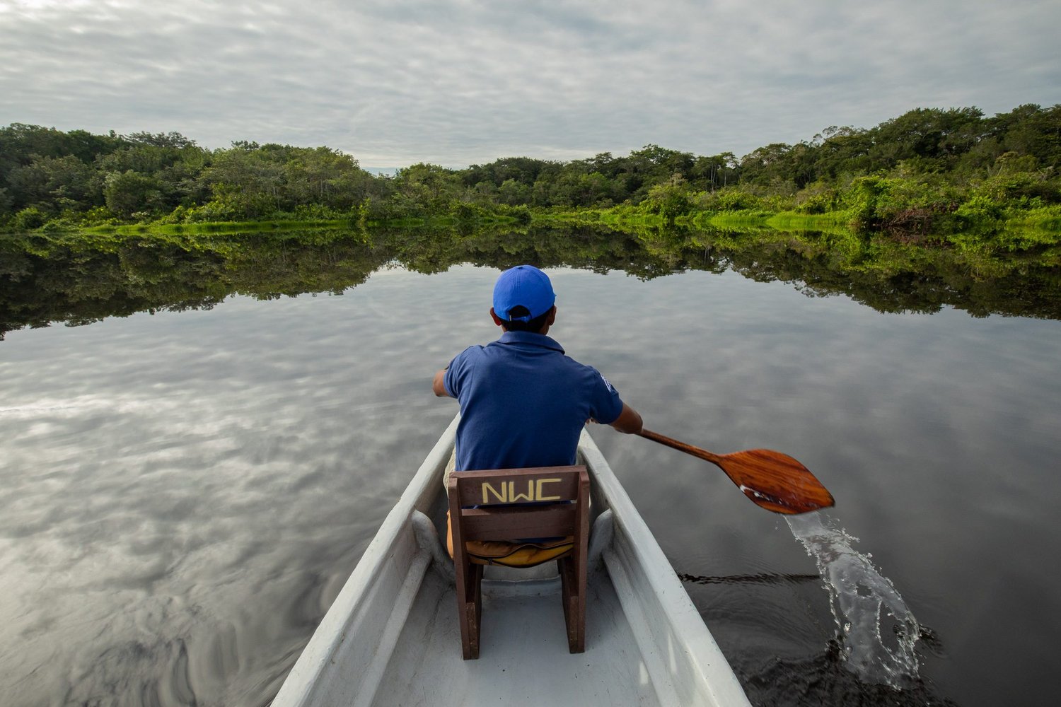 Amazon Rainforest